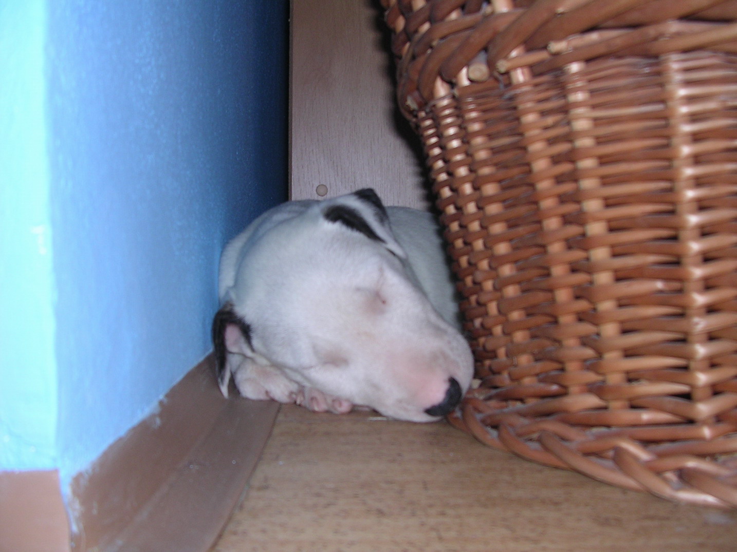 DSCN3223.jpg