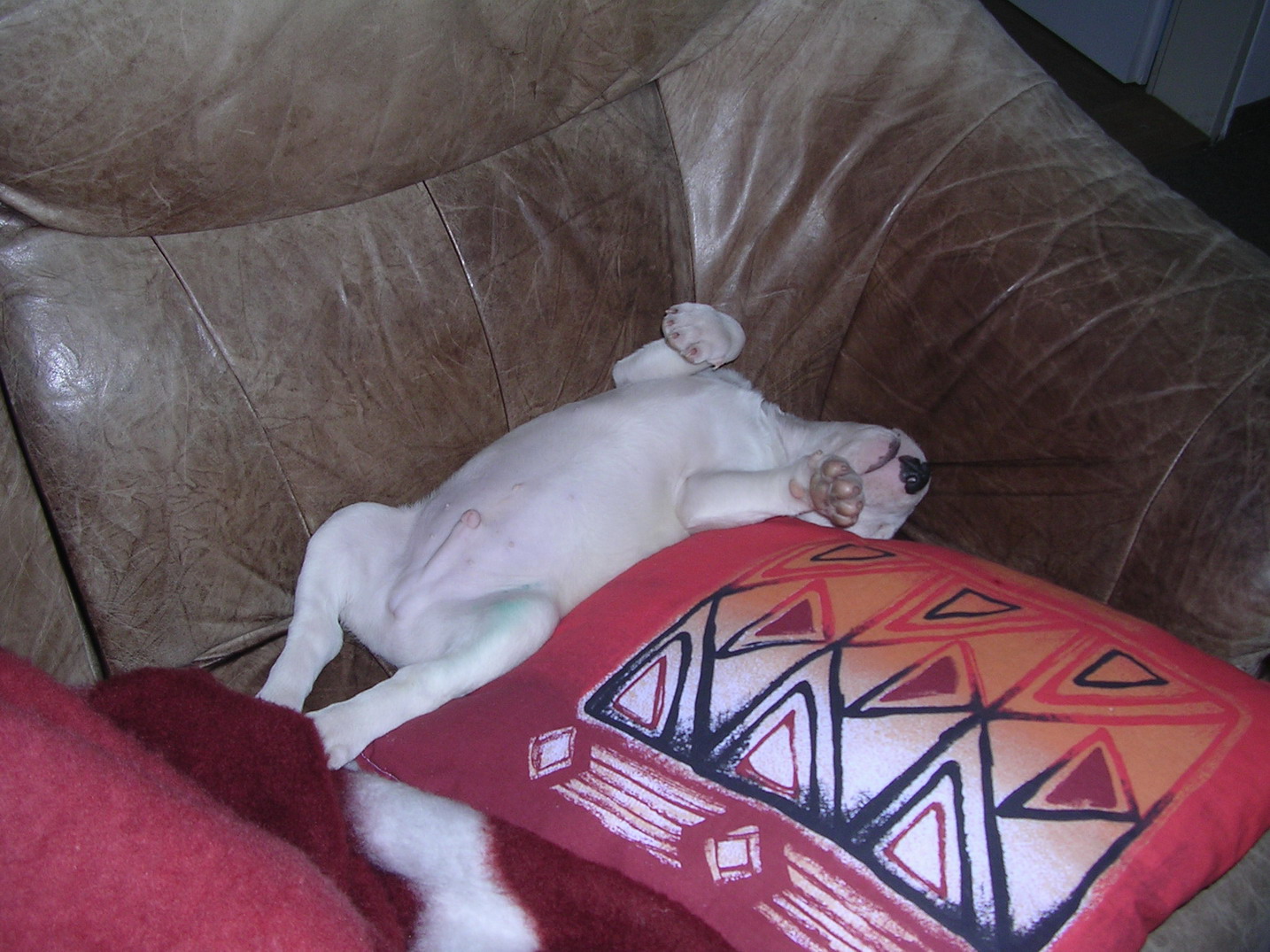 DSCN3293.jpg