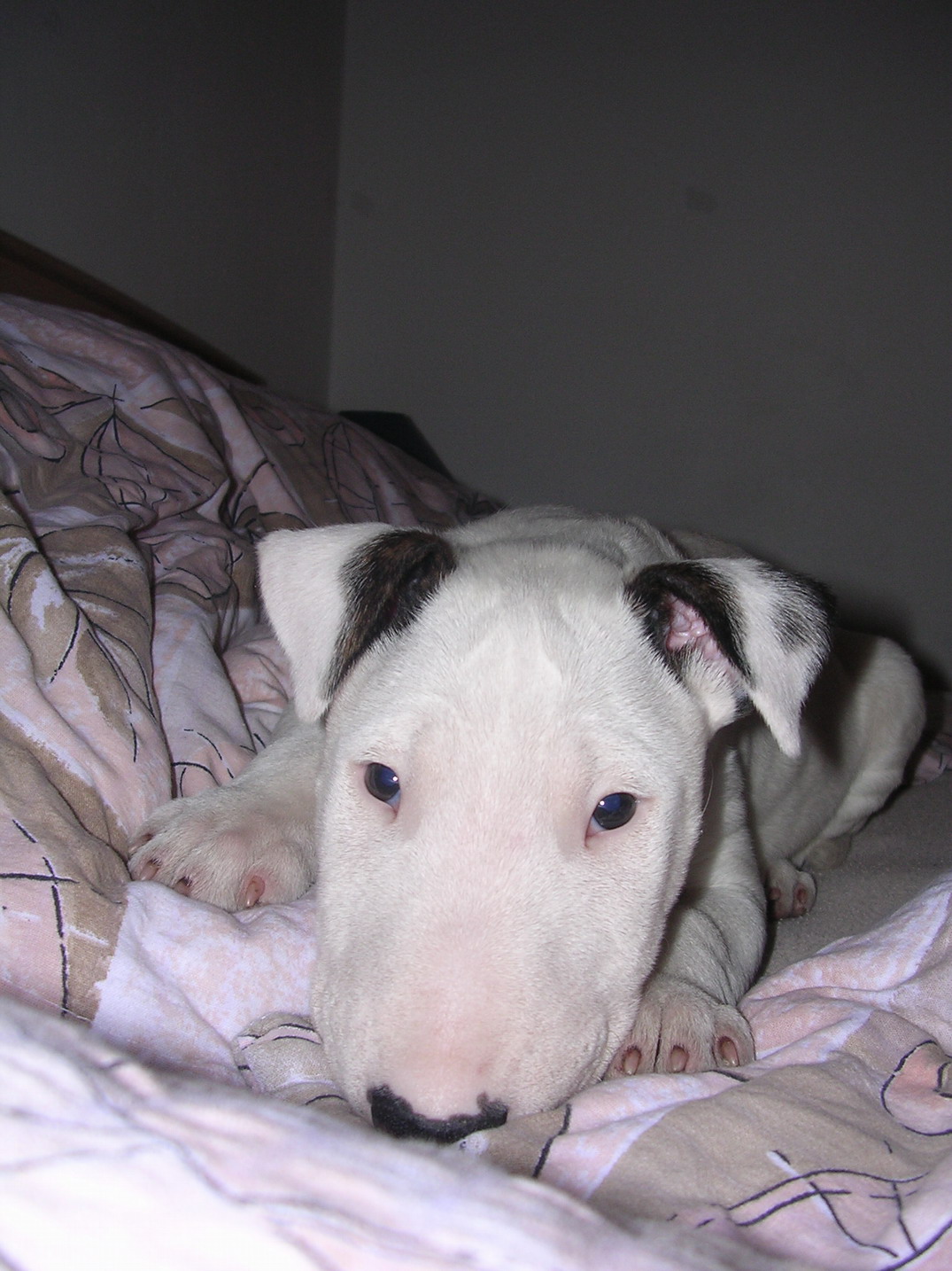 DSCN3336.jpg