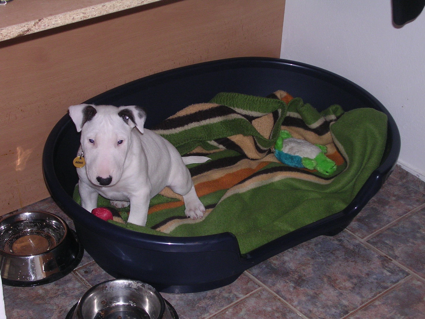 DSCN3470.jpg