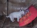 DSCN3244.jpg